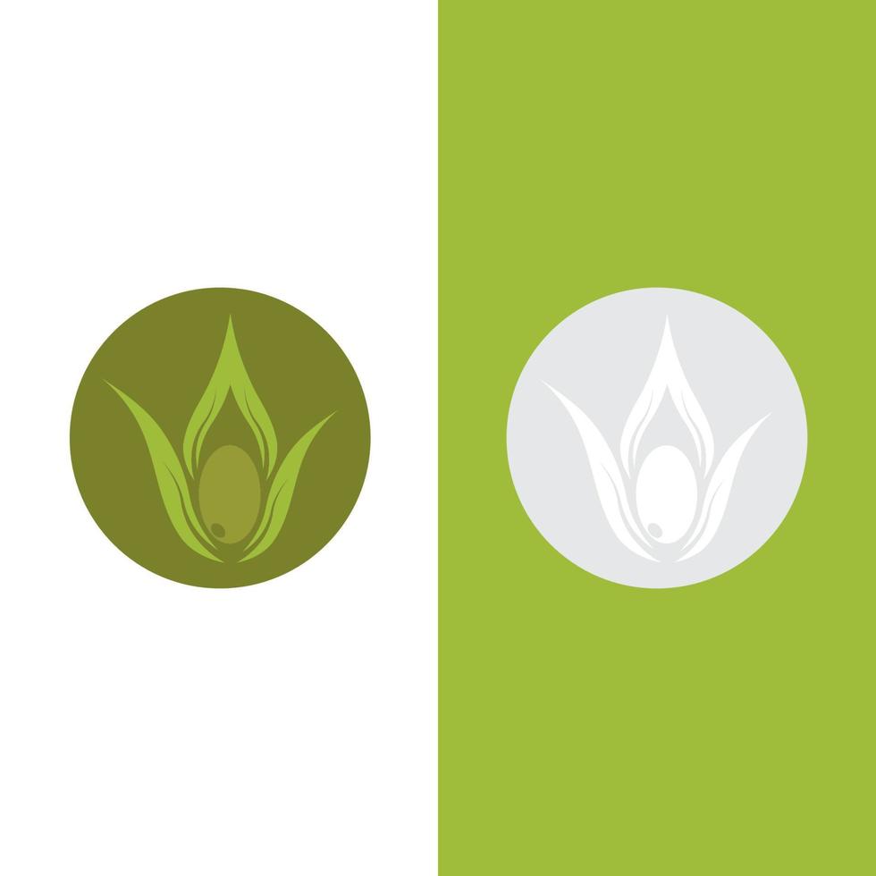 olive icon vector illustration