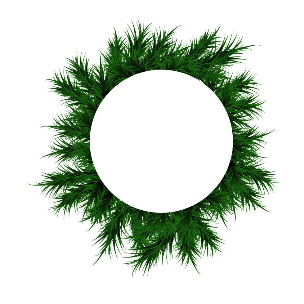 Christmas and newyear. happy New year. cover with white label and green fir branches. spruce branch for text. vector