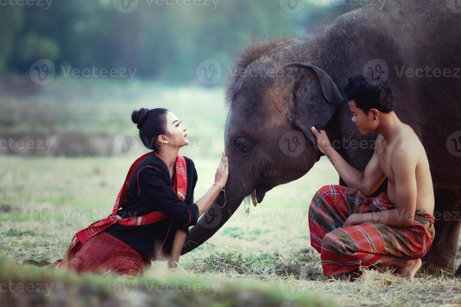 parejas disfrutando de estilos de vida de elefantes jóvenes en la provincia de surin, tailandia. foto