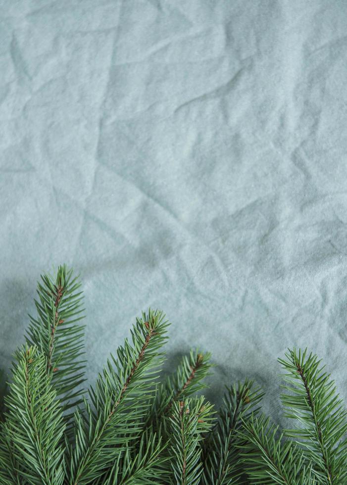 Spruce twigs on the green linen crumpled textile background photo