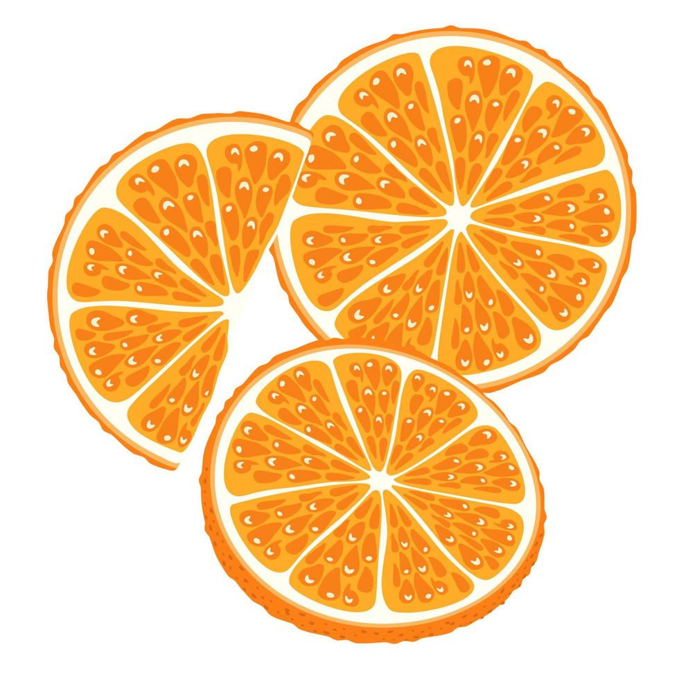 conjunto de partes de naranja, mandarina. mitad, rebanada y cuña de fruta naranja aislada sobre fondo blanco. vector