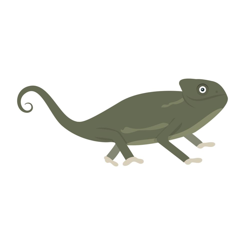 Trendy Chameleon Concepts vector