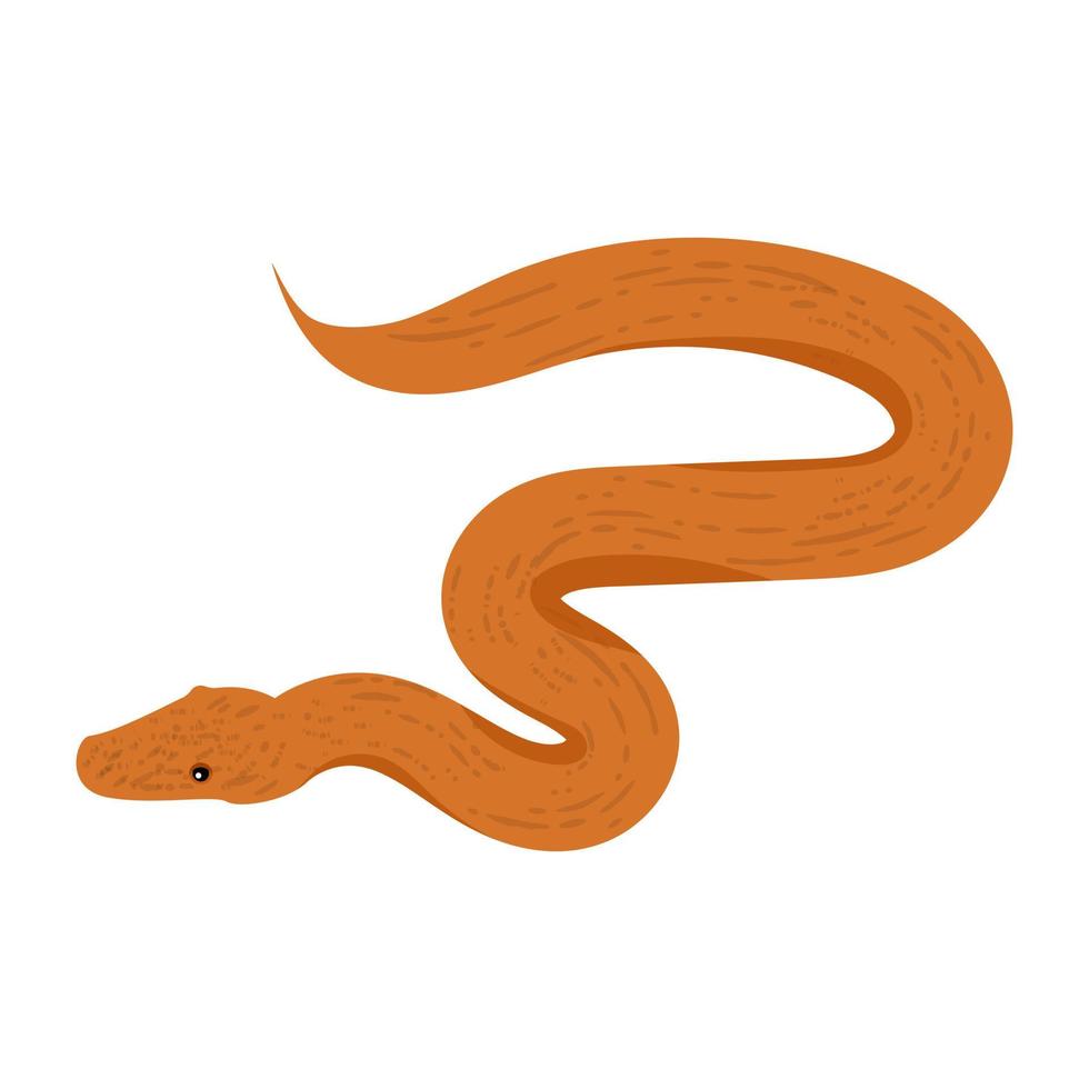 Trendy Snake Concepts vector