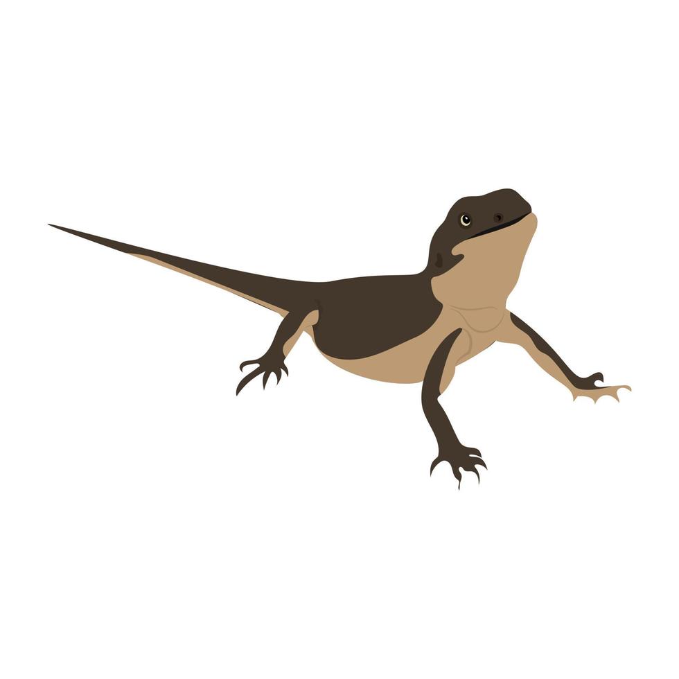 Trendy Squamata Concepts vector