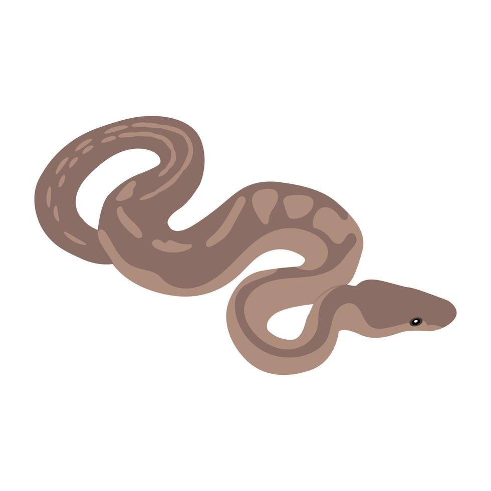 Trendy Snake Concepts vector