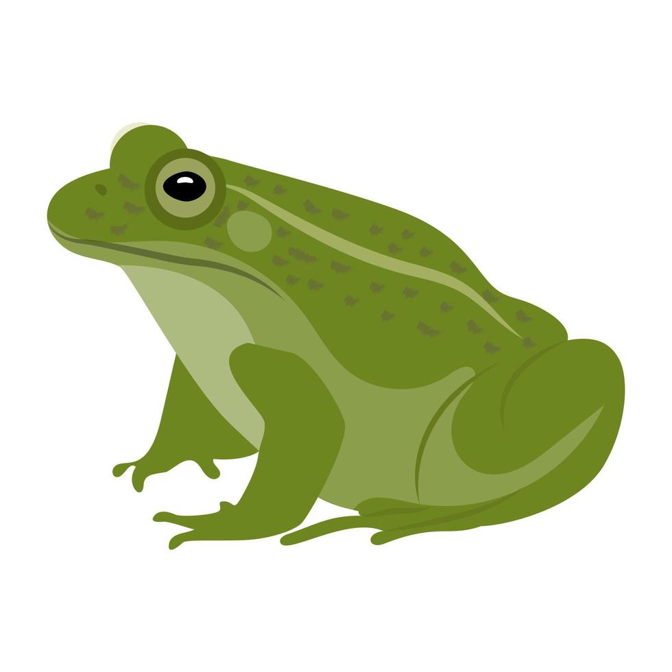 Trendy Frog Concepts vector