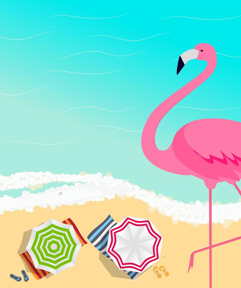 Summer Creative Poster with Pink Flamingo. Card of Invitation. Vector Illustration