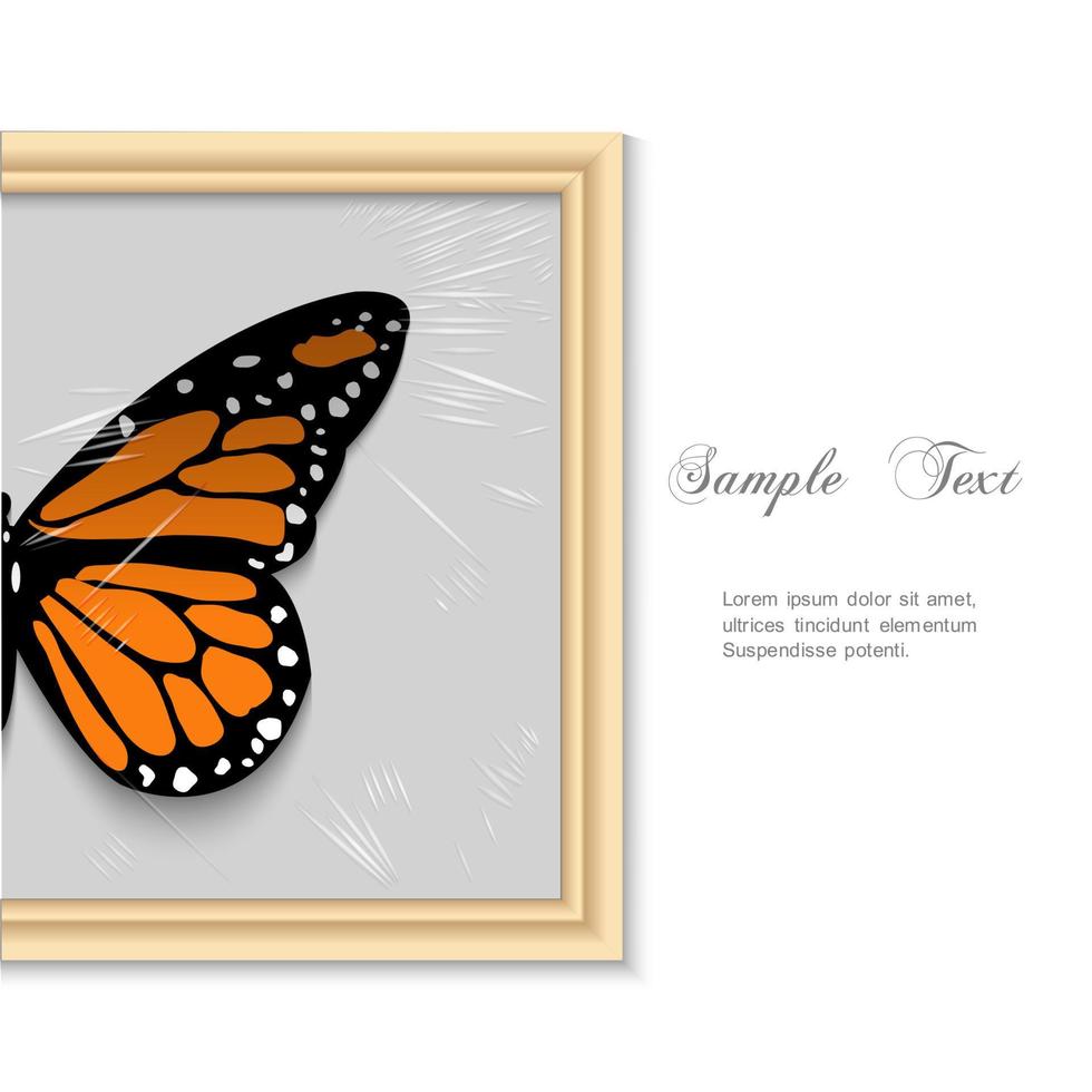 Butterfly in wooden frame vector