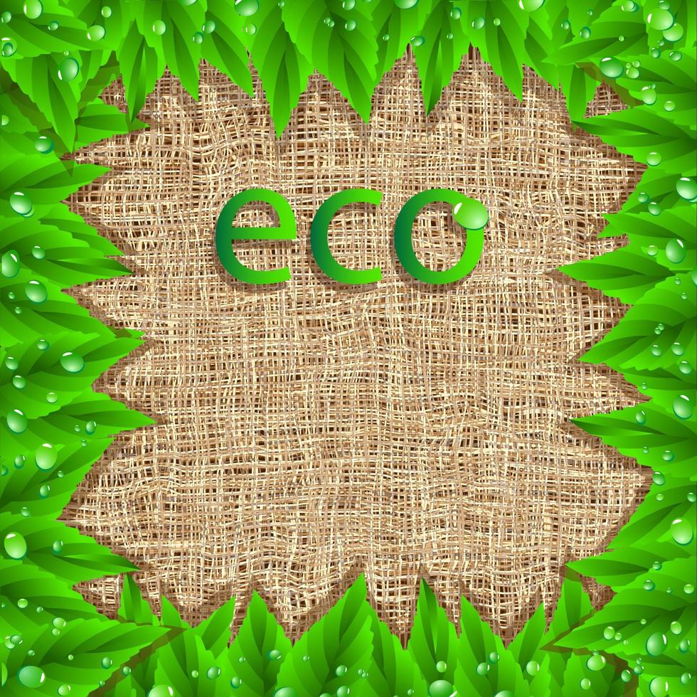 Natural frame with leaves vector