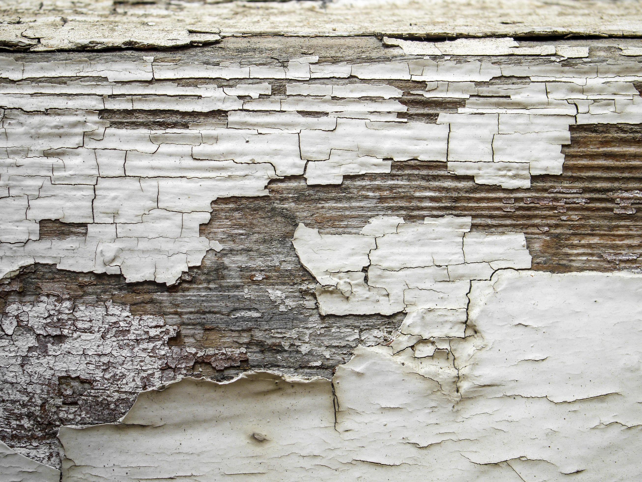 Old wood panel with cracked white paint. Cracked paint texture. 4491287