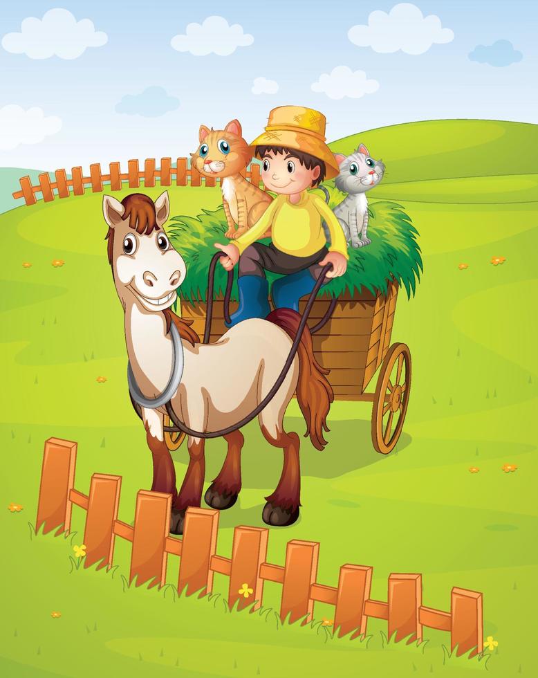 A boy riding horse cart with cats on the meadow vector