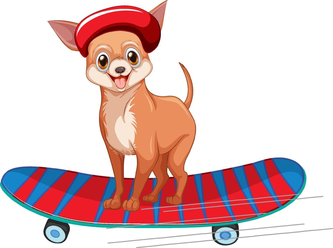 Chihuahua dog wears helmet standing on skateboard vector