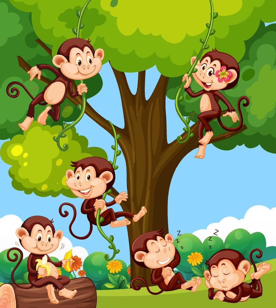 Forest scene with little monkeys doing different activities vector