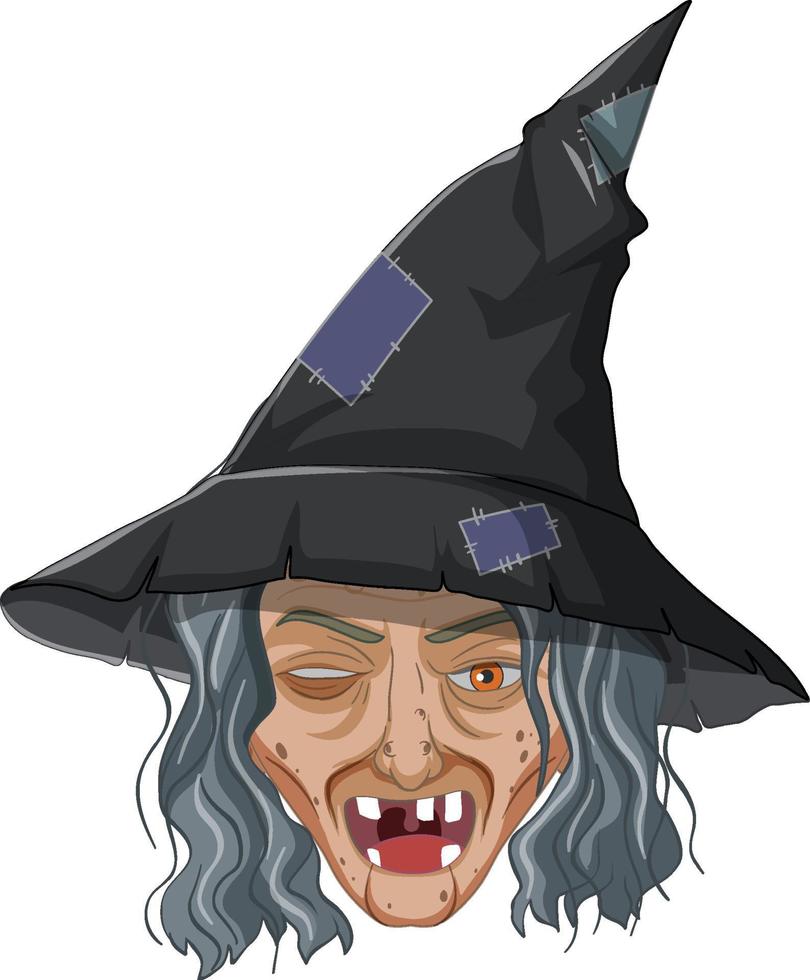 Wicked old witch face on white background vector