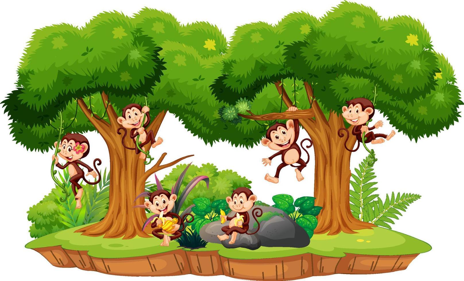 escena de bosque aislado con monos traviesos vector