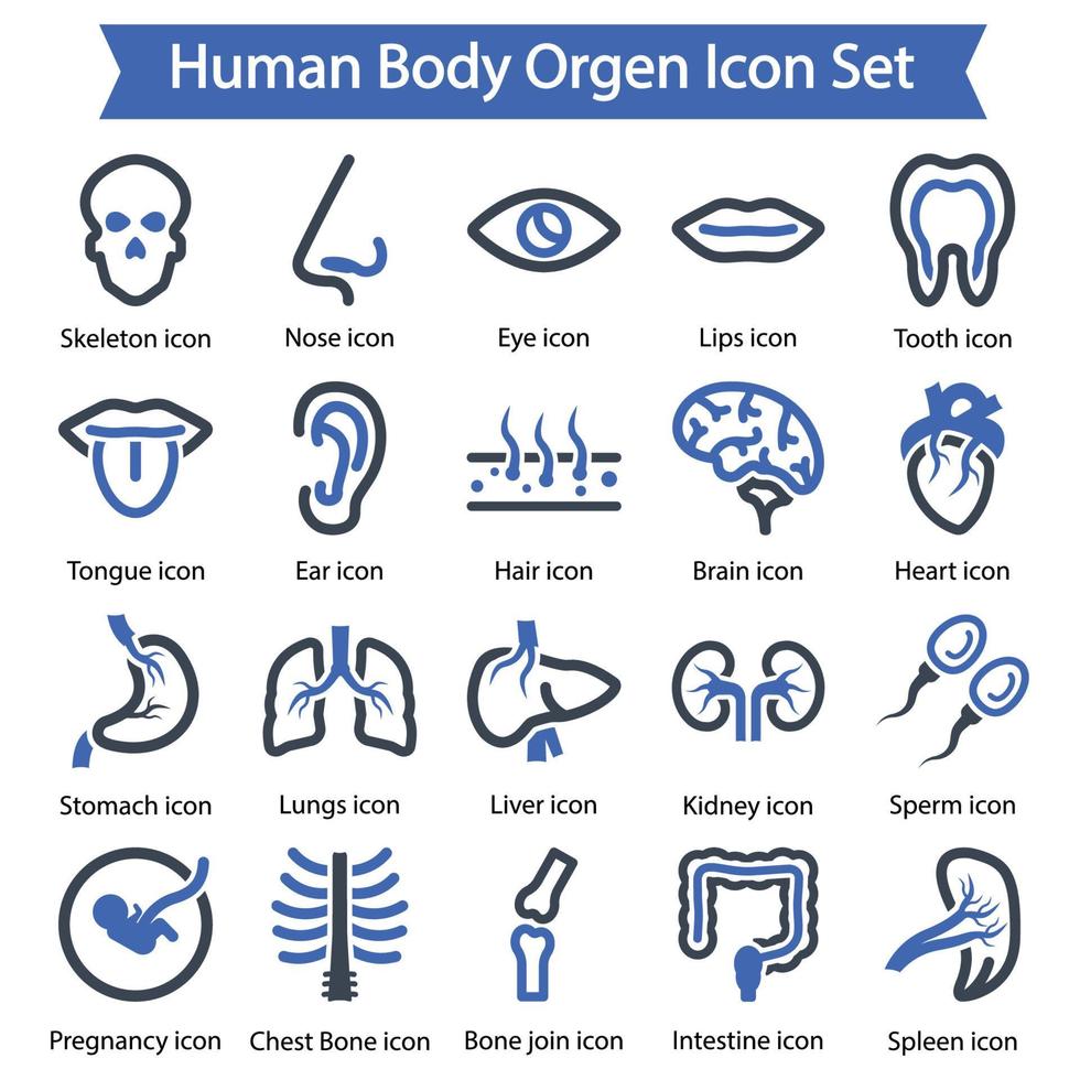 conjunto de iconos de orgen del cuerpo humano vector