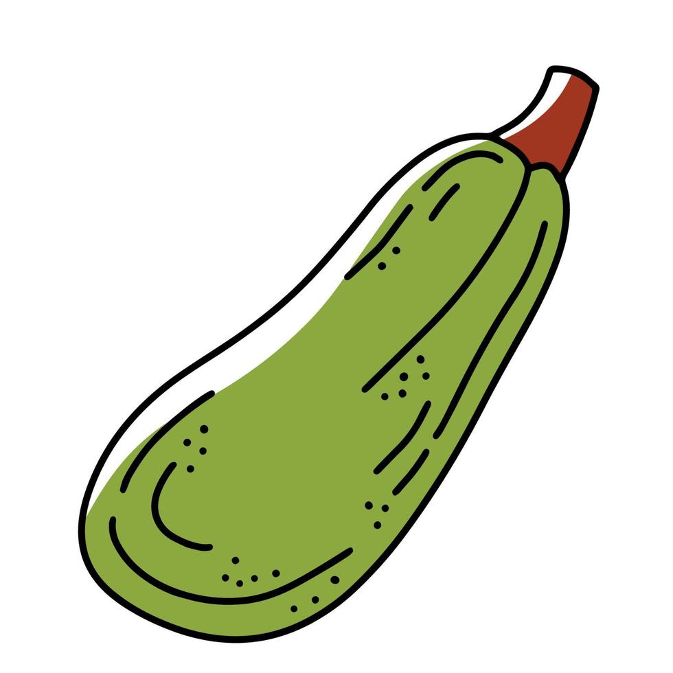 Zucchini or eggplant linear vector icon in doodle style
