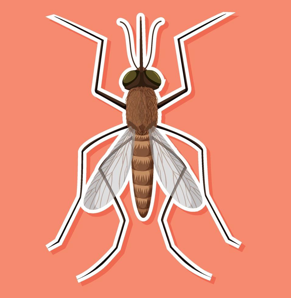 Top view of mosquito in cartoon style vector