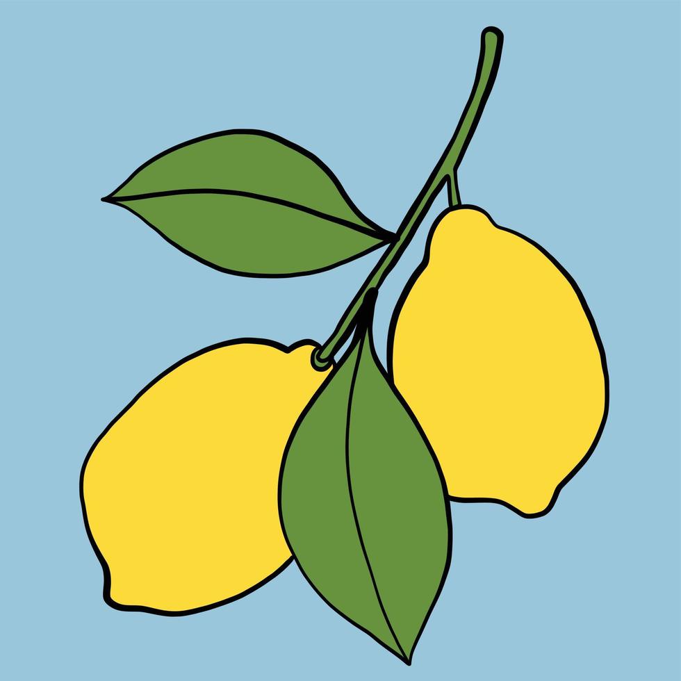 Doodle dibujo a mano alzada de fruta de limón. vector