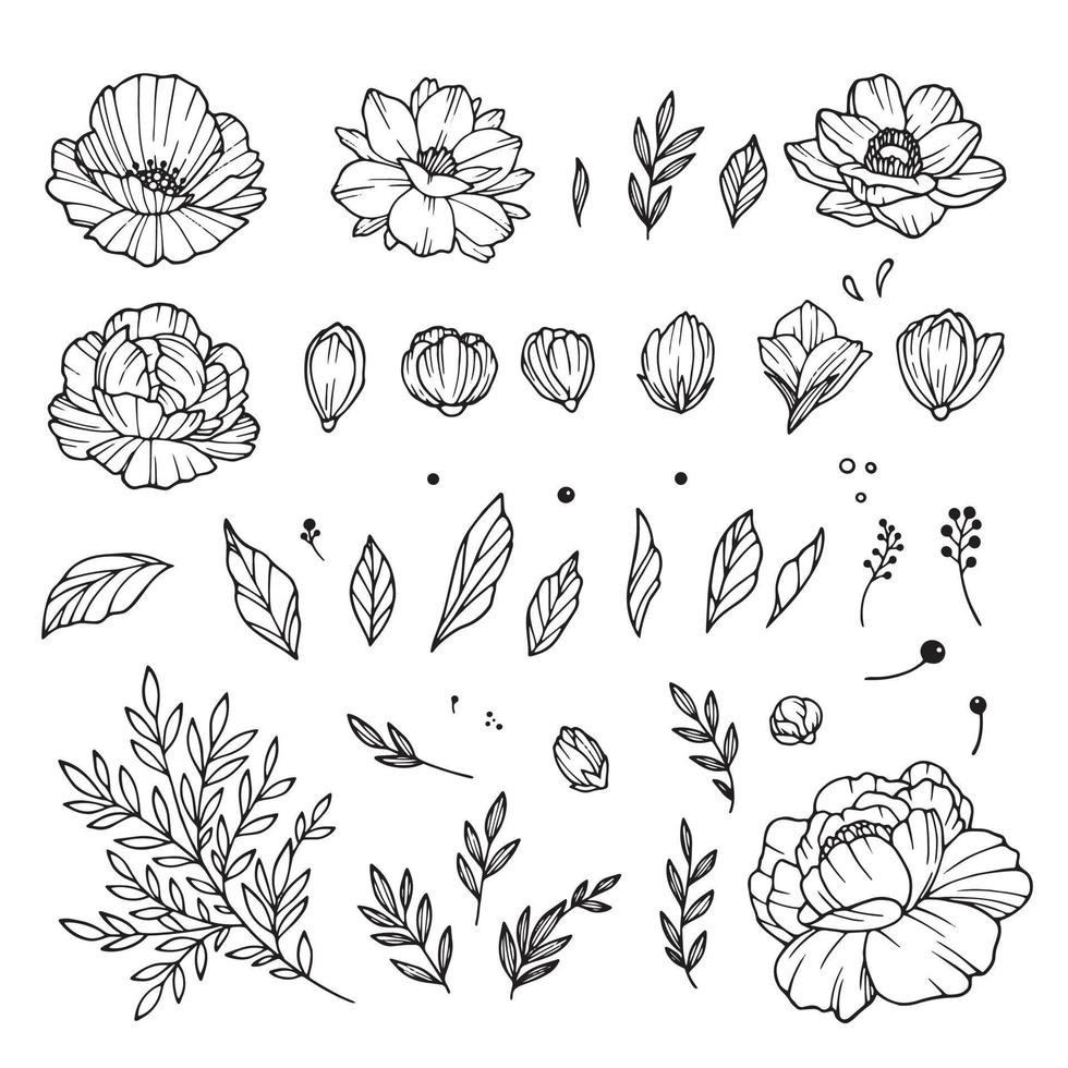 Rose bud collection. Elements of roses isolated on white background. Bouquet of roses. Flower isolated against white. Beautiful set of flowers. Vector illustration.