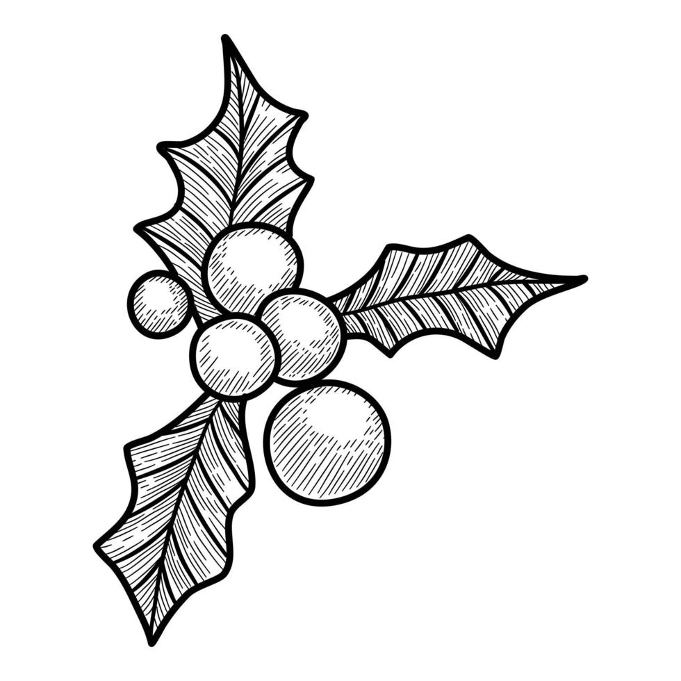 Christmas holidays berry leaf icon, hand drawn and outline style vector