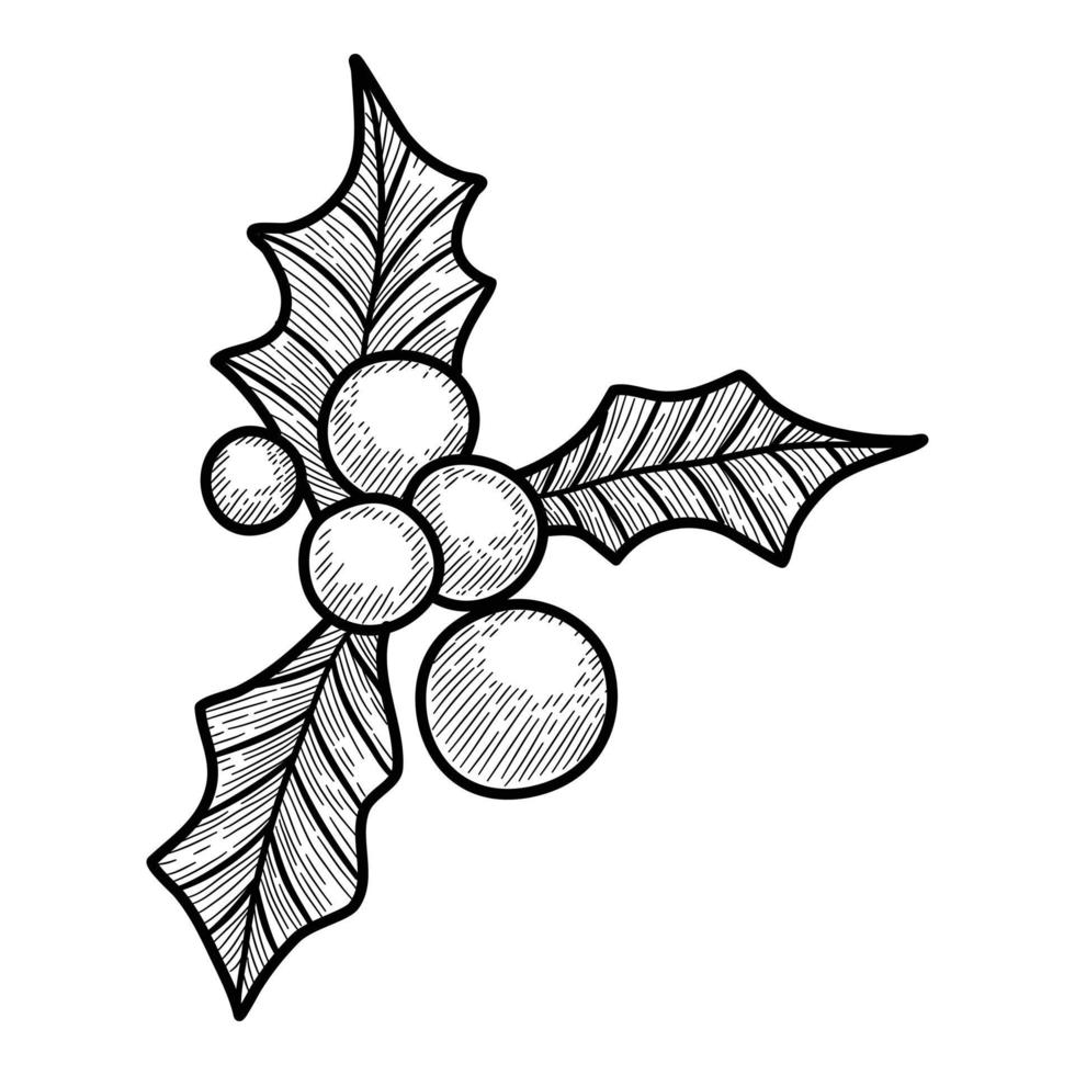 Icono de hoja de baya de vacaciones de Navidad, dibujado a mano y estilo de contorno vector