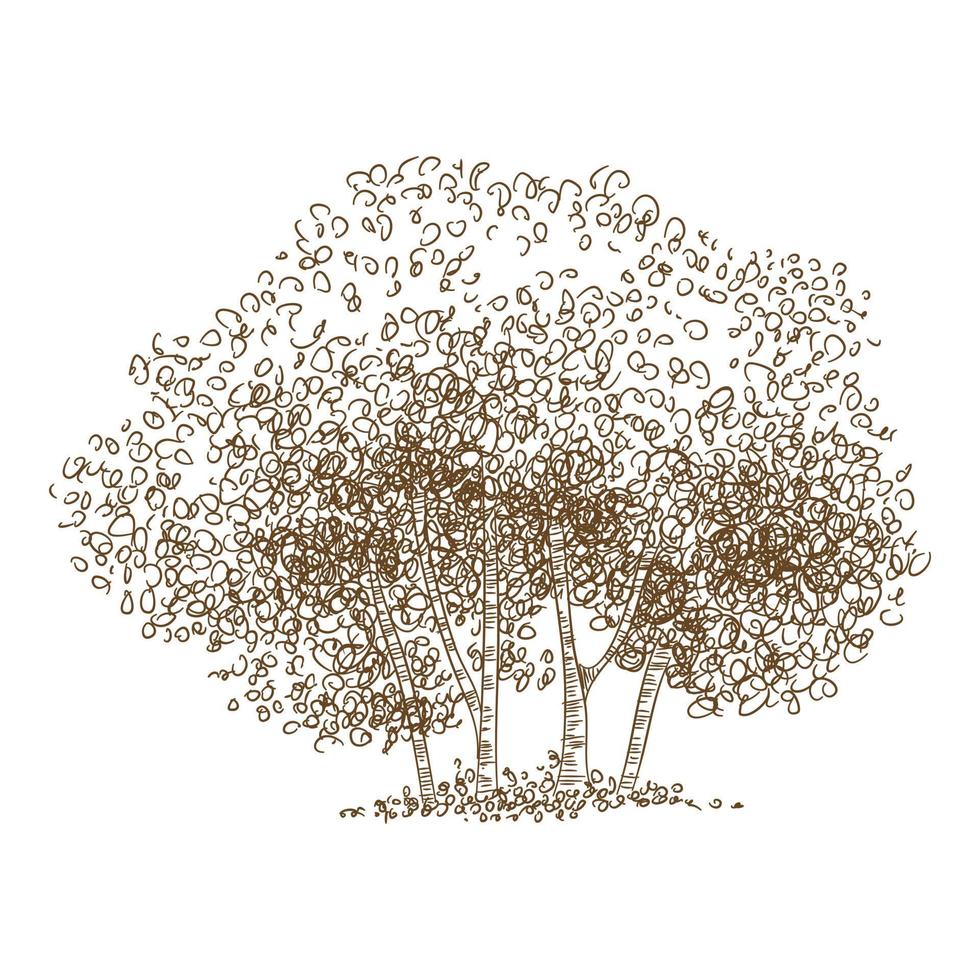 icono de grupo de árboles forestales, dibujado a mano y estilo de contorno vector