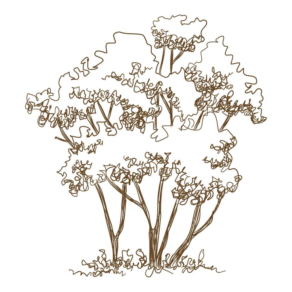 Forest young trees icon, hand drawn and outline style vector