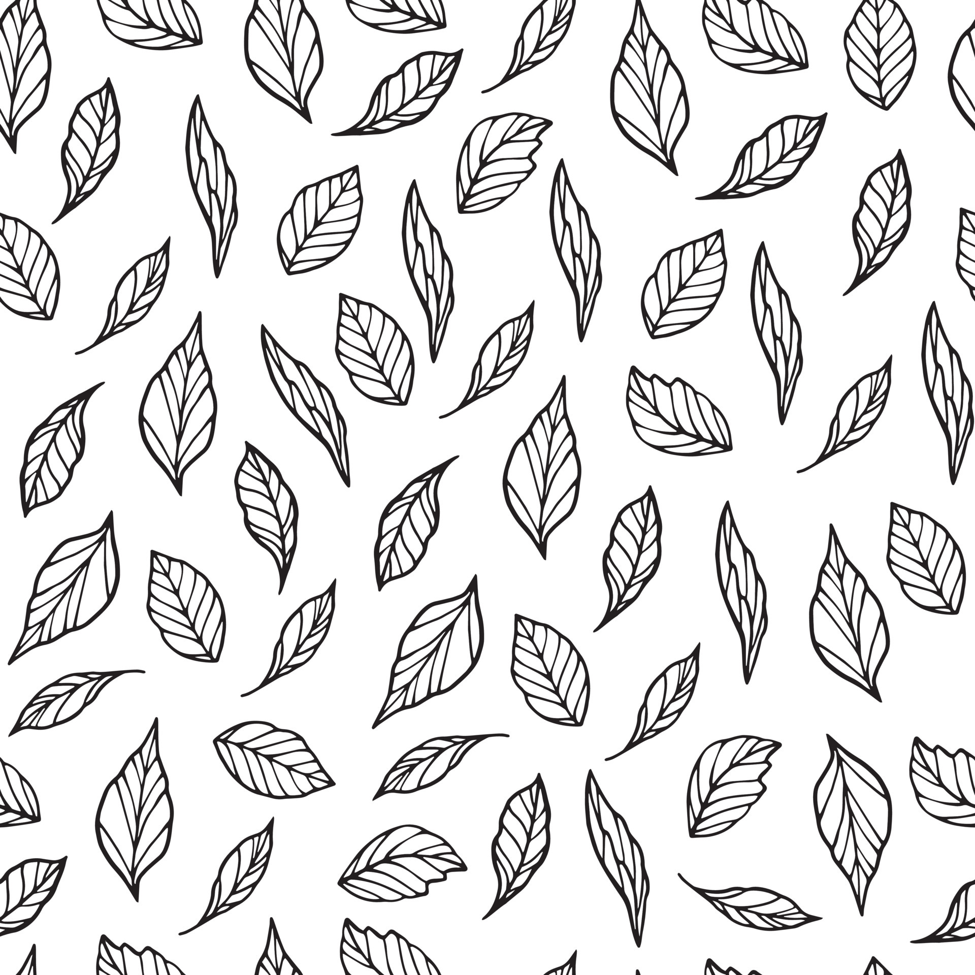 Seamless Leaves pattern. Vector black and white background and texture