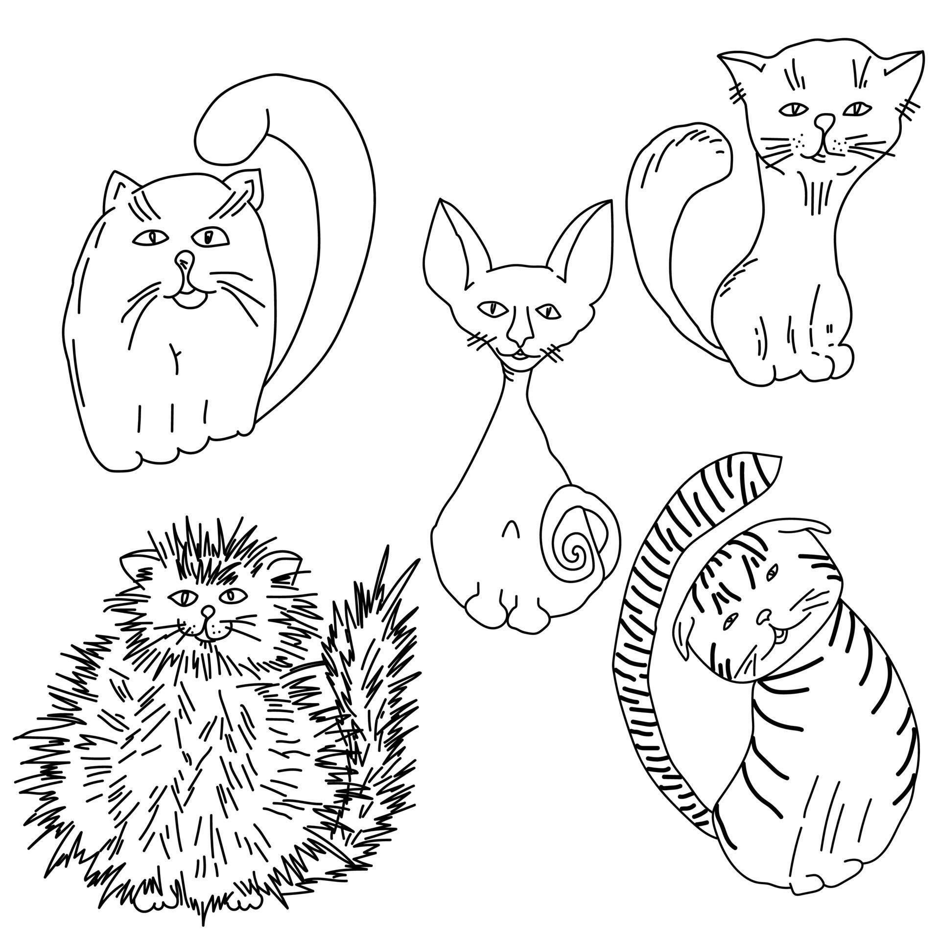 Set of five cute cats of different breeds, Simple linear animal