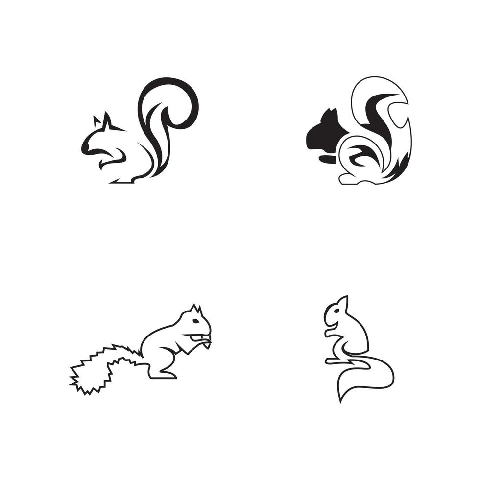 Ilustración de vector de icono y símbolo de ardilla