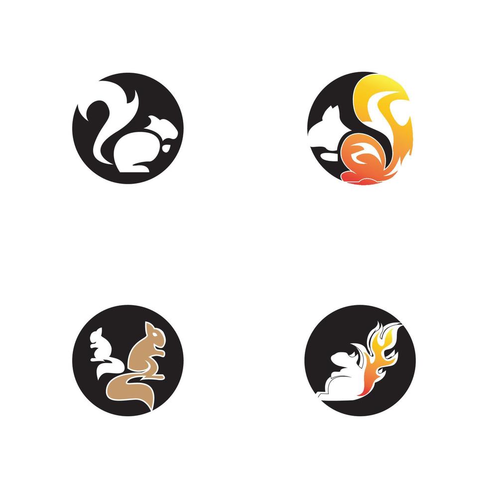 Squirrel icon and symbol vector illustration