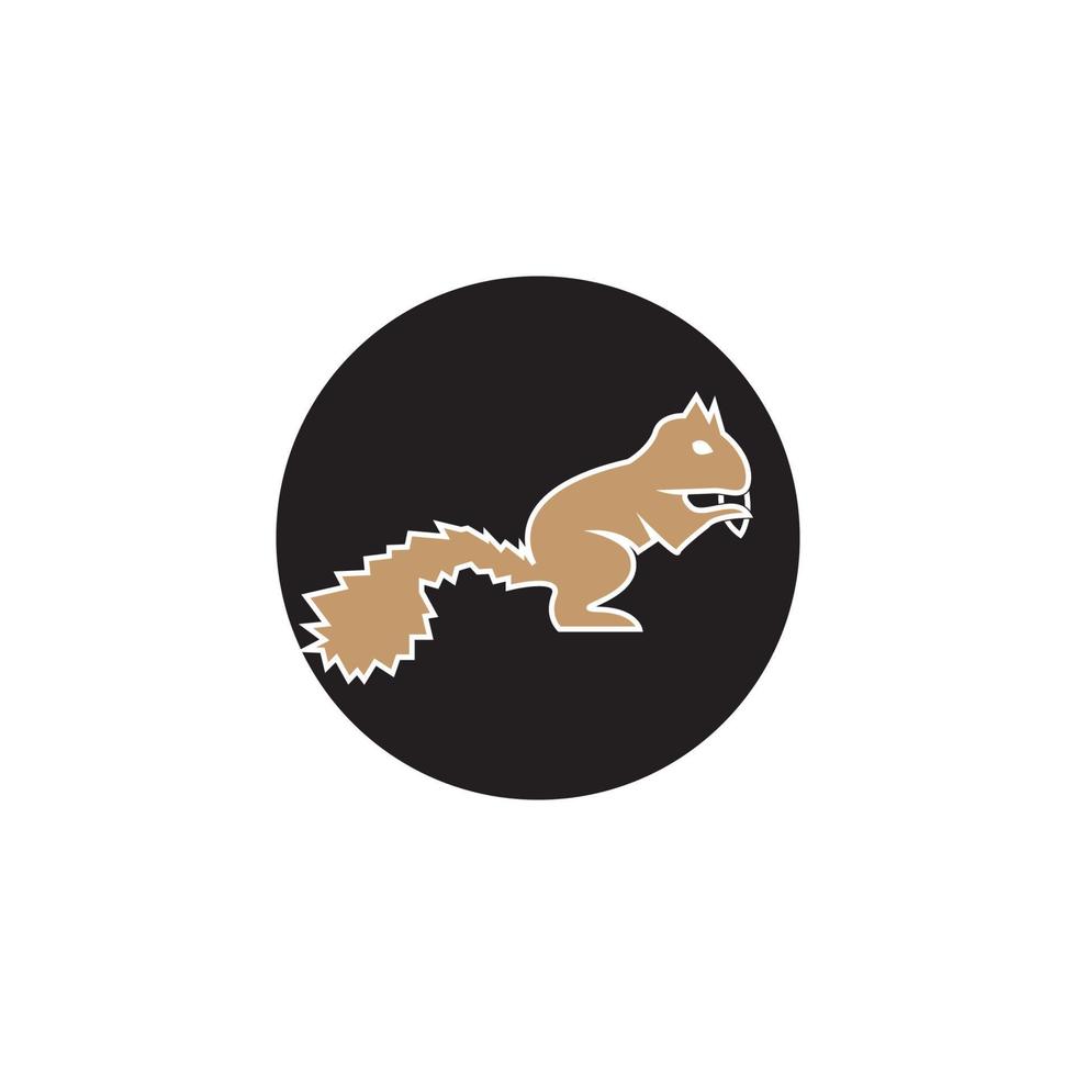 Squirrel icon and symbol vector illustration