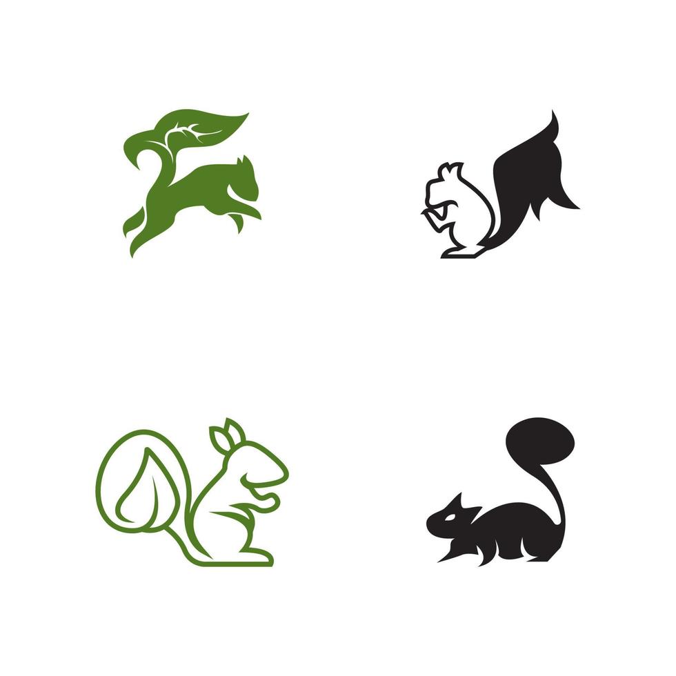 Ilustración de vector de icono y símbolo de ardilla