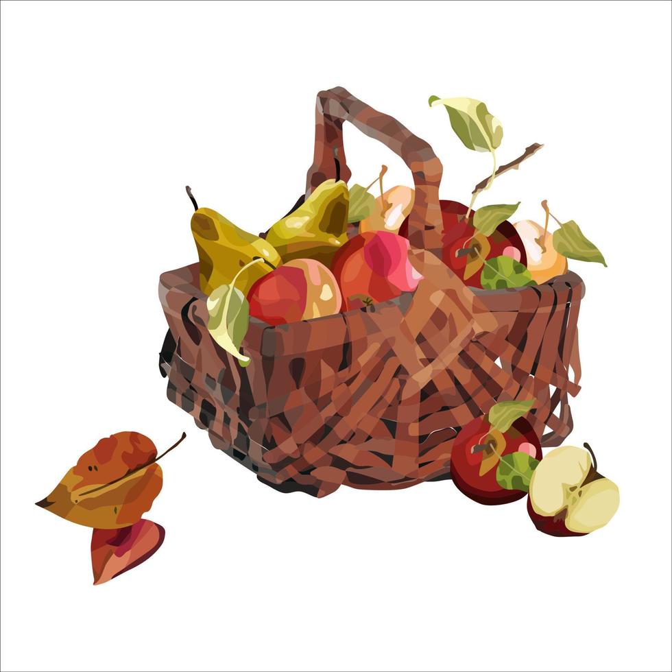 Vector basket of ripe apples. Autumn design of crops, fruits, agriculture