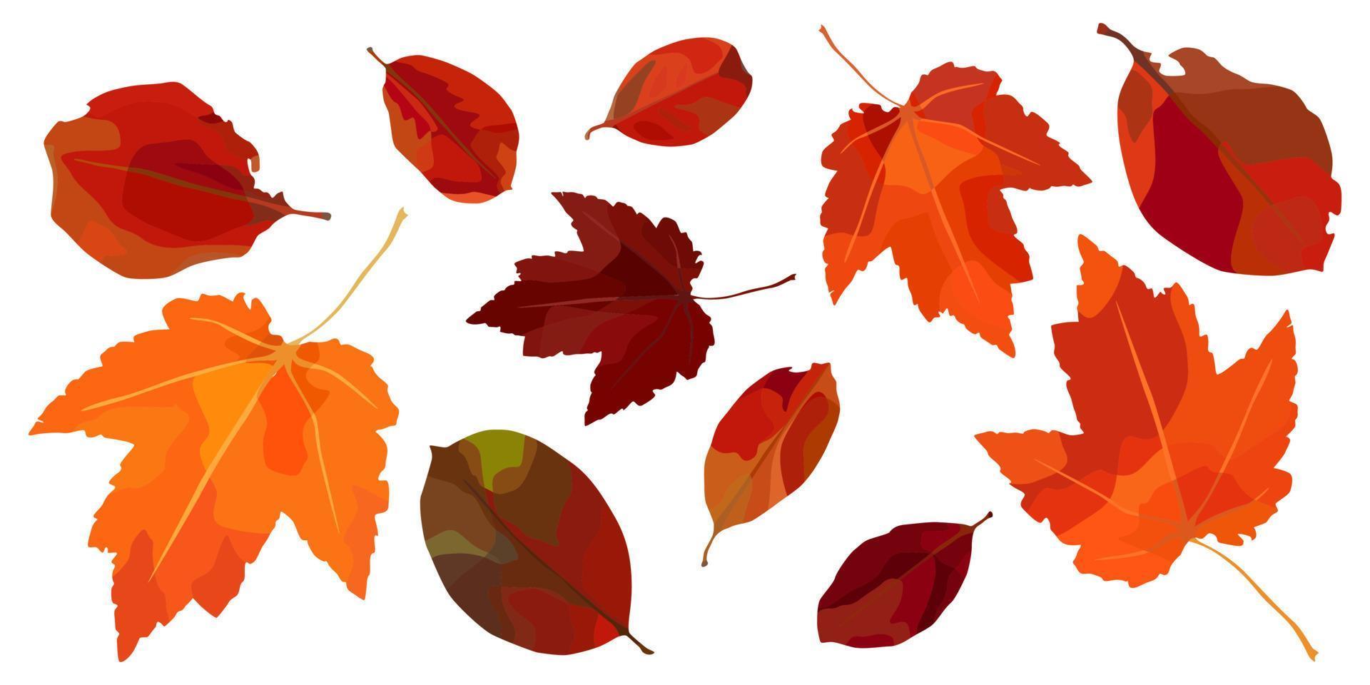 vector conjunto de hojas de otoño. para el diseño de otoño, menú de restaurante, postres, tarjetas de invitación