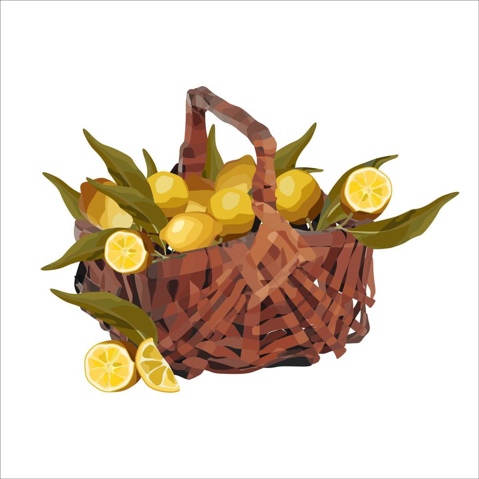 Vector basket of lemons. Autumn design of crops, fruits, agriculture