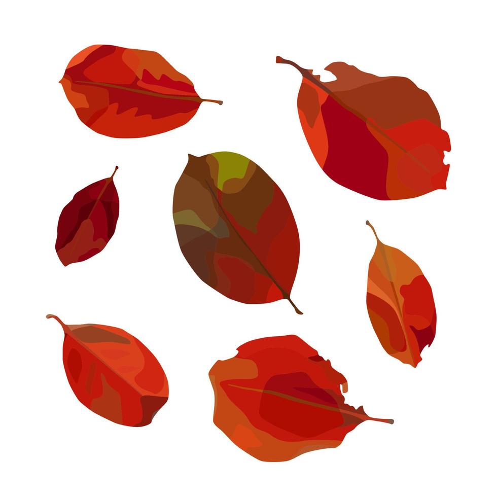 vector conjunto de hojas de otoño. para el diseño de otoño, menú de restaurante, postres, tarjetas de invitación