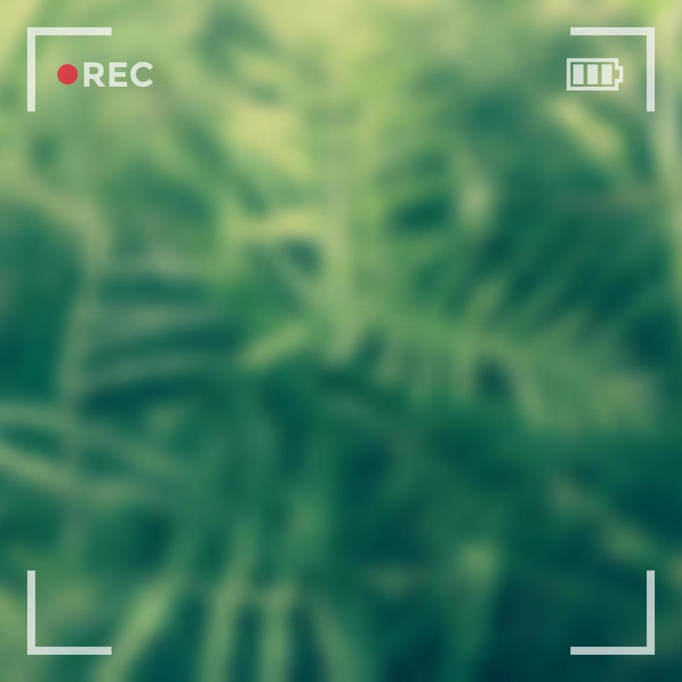 Ilustración de vector de interfaz de pantalla de cámara