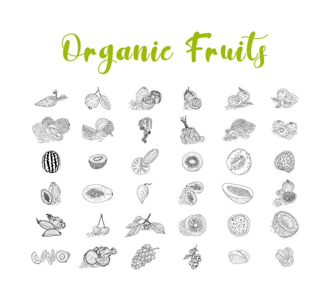 Fruit collection in flat hand drawn style, illustrations set. vector