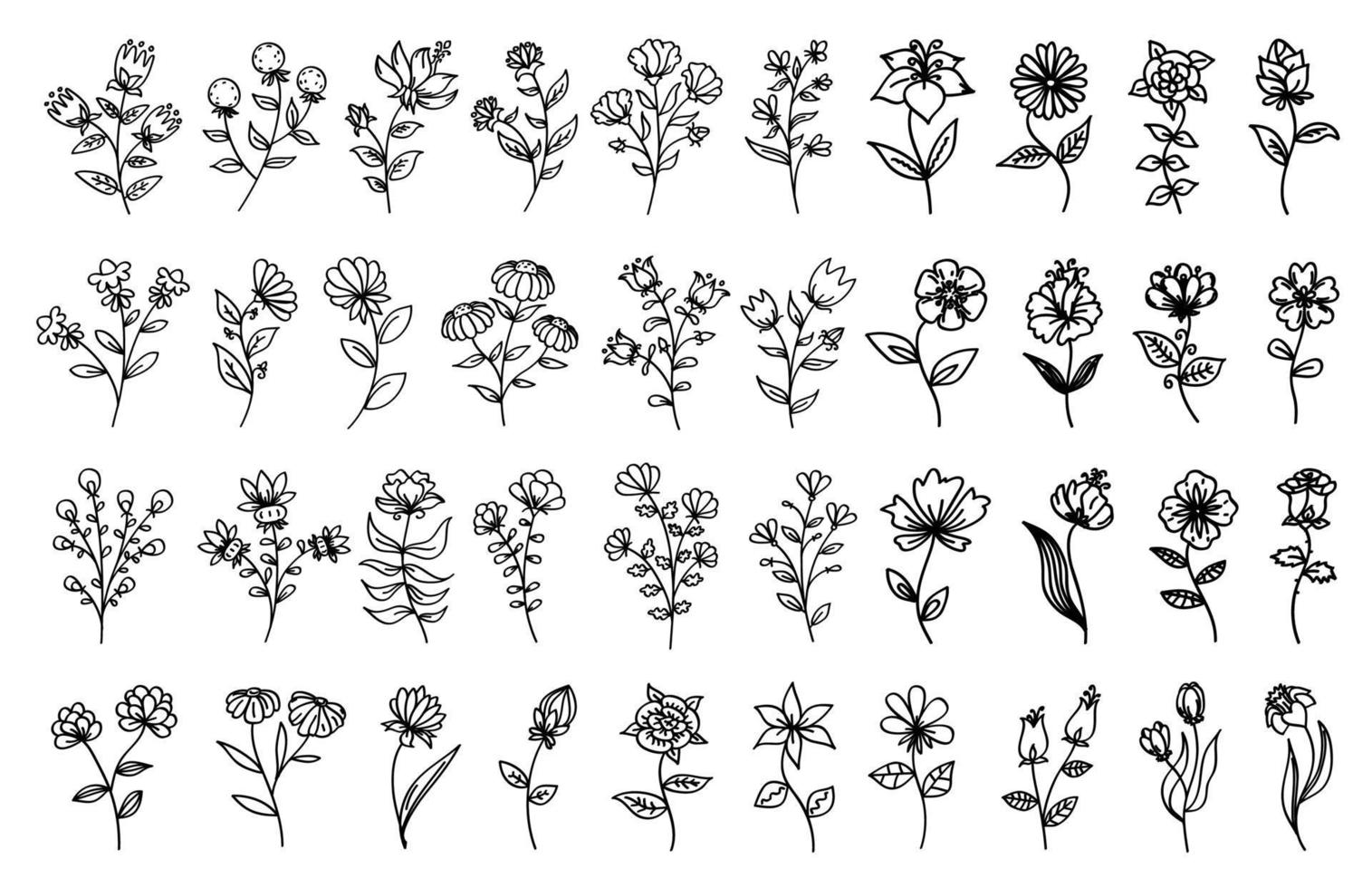 Outline floral set. Black thin line flowers isolated on white background. Flowers collection black outline illustrations. vector
