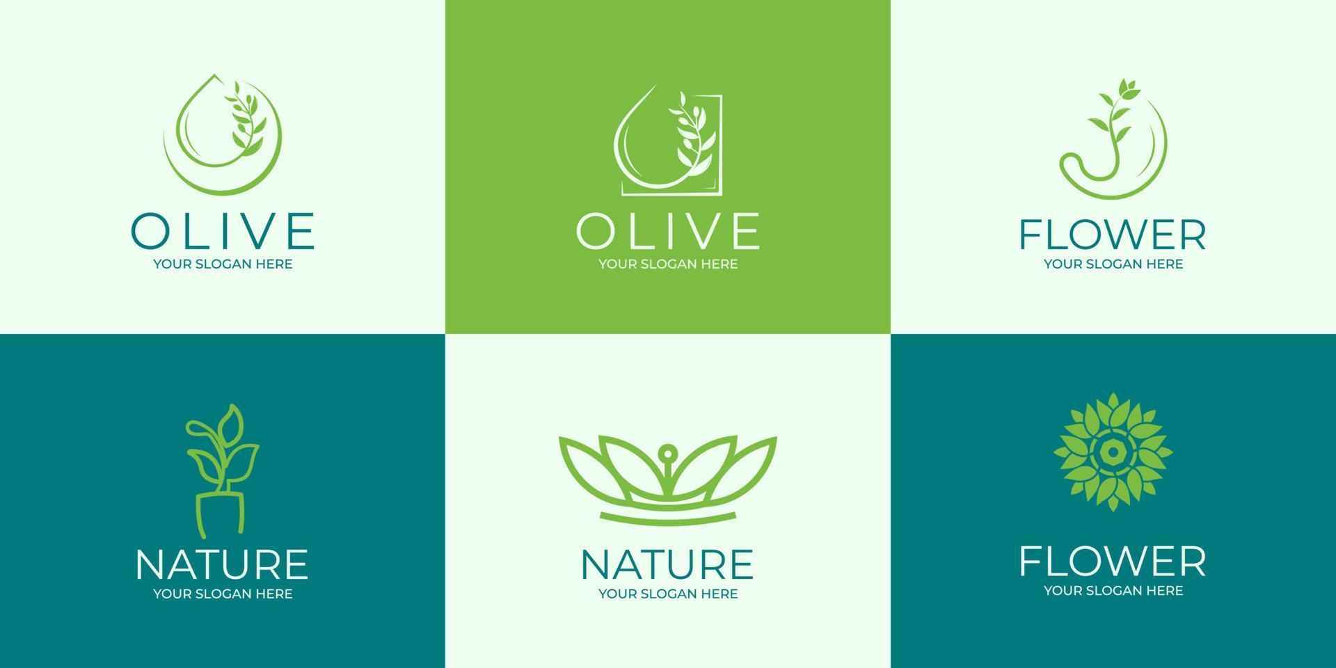 conjunto de logotipo natural creativo. aceite de oliva, flores y hojas vector