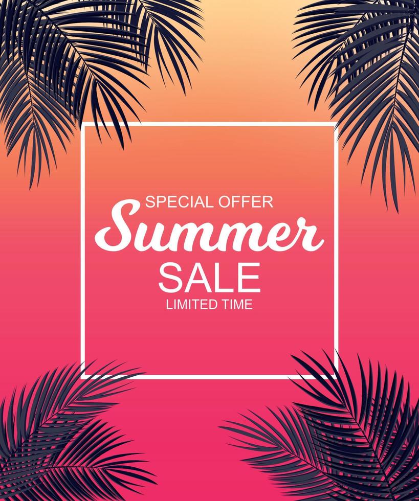 Summer Sale concept Background with Palm Leaves. Vector Illustration