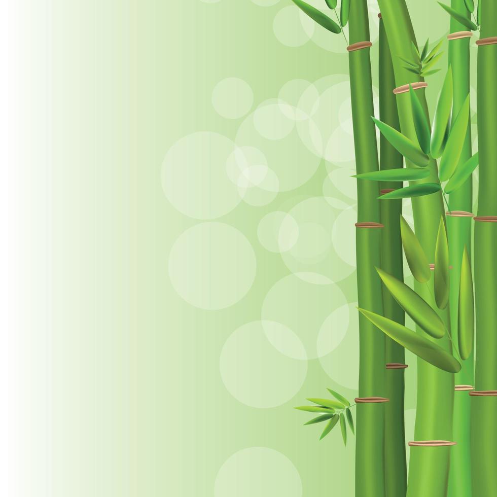 Colorful Stems and Bamboo Leaves Background. Vector Illustration