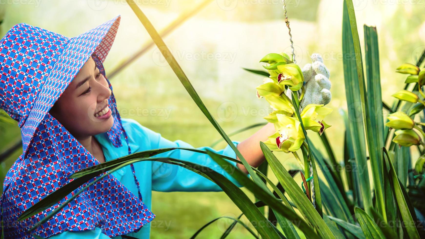 la joven trabajadora está cuidando la flor de la orquídea en el jardín. amarillo orquídea cymbidium. foto