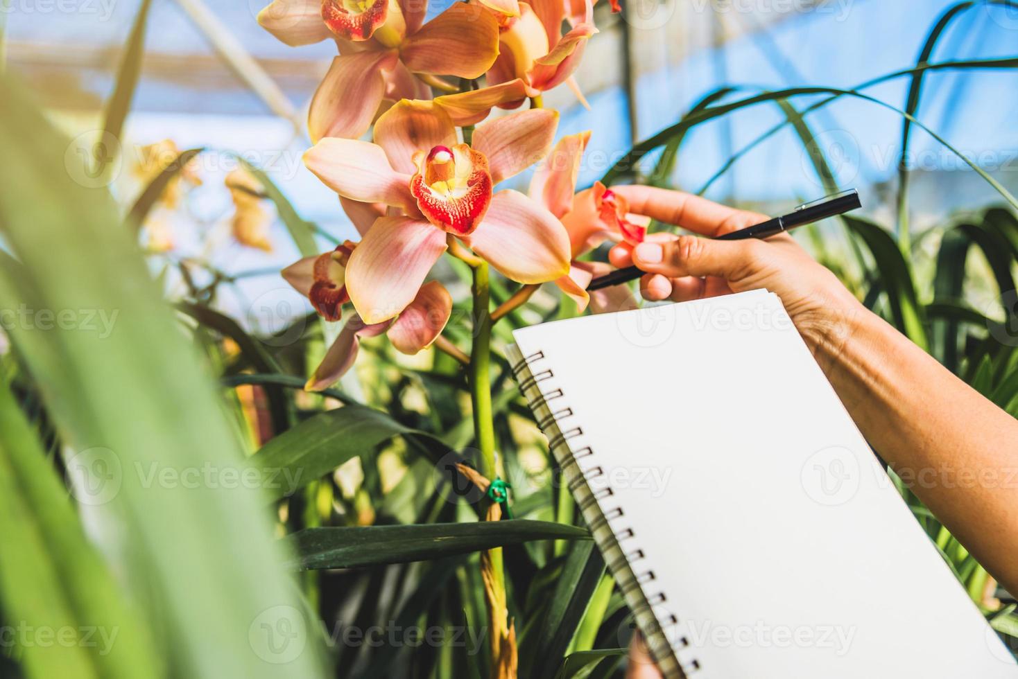 Notebook with pen for writing note postcardon background of yellow orchids. photo