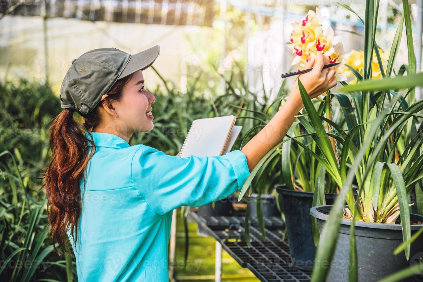 The girl notes the changes, orchid growth in the garden. Beautiful Orchid background in nature farmers photo