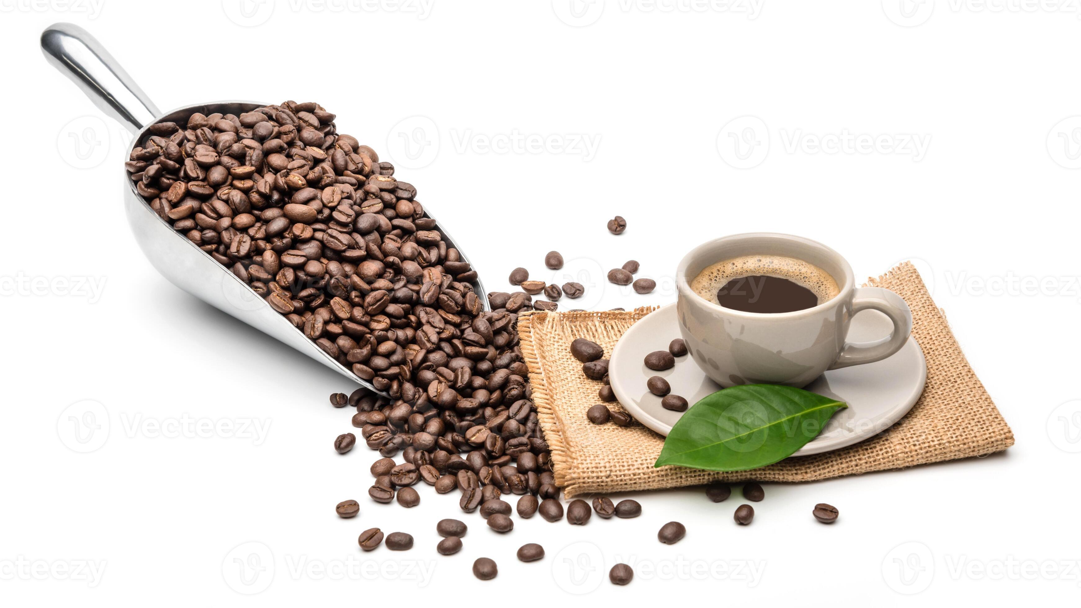 Spoon Coffee scoop and coffee beans roasted with hot coffee cup On a