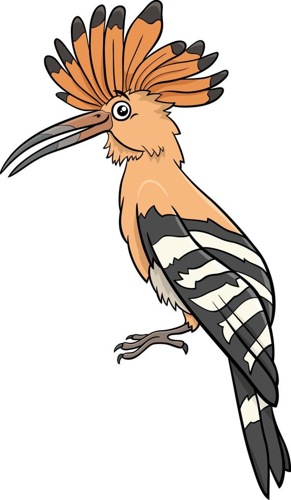 hoopoe bird animal character cartoon illustration vector