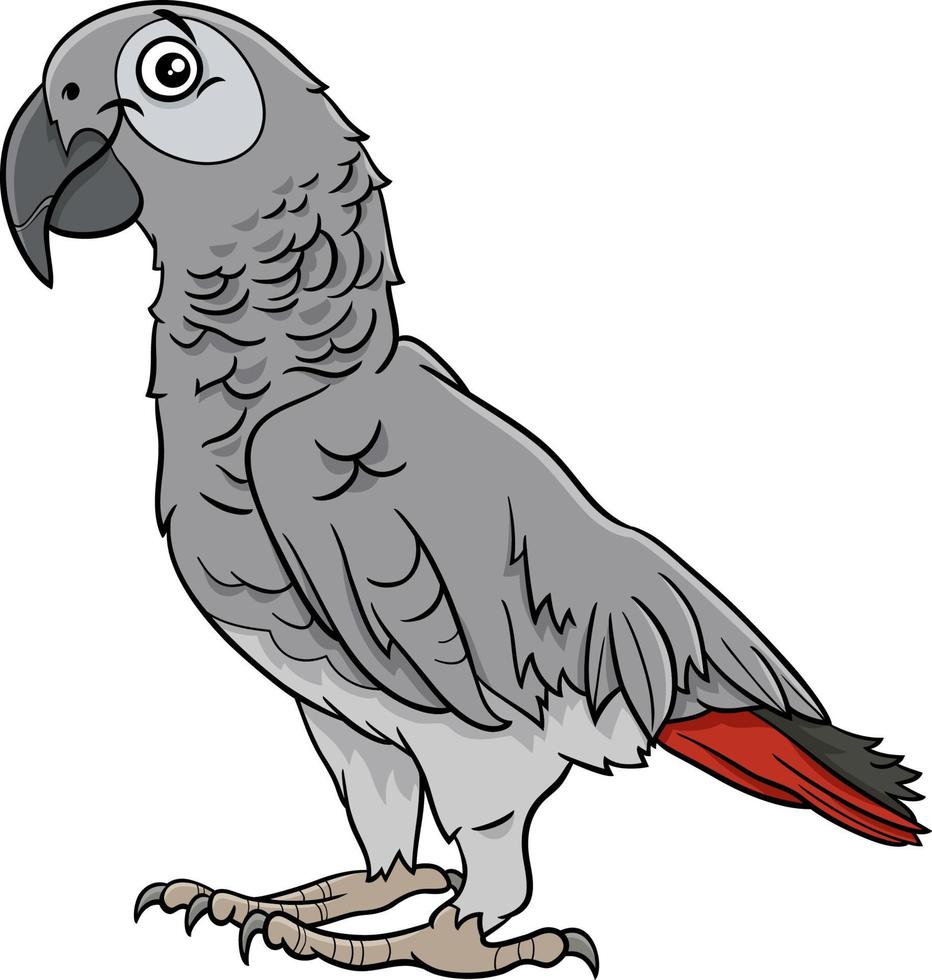 grey parrot bird animal character cartoon illustration vector